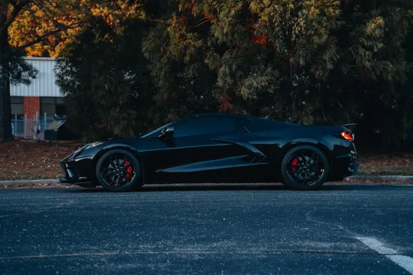 Winnerz Kasino Apl Android/iOS